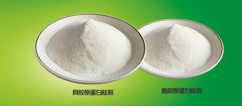 1583732140376404.jpg 骨+魚膠原蛋白.jpg